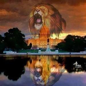 Meet your Posher, Mickey